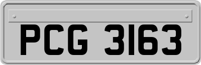 PCG3163