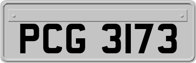 PCG3173