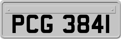 PCG3841