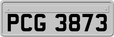 PCG3873