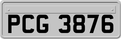 PCG3876