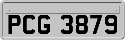 PCG3879