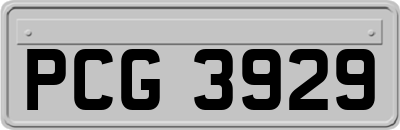 PCG3929