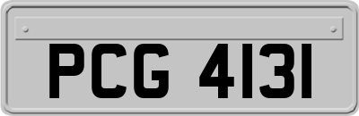 PCG4131