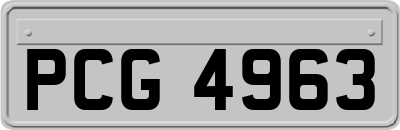 PCG4963