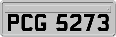 PCG5273