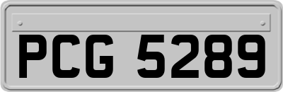 PCG5289
