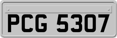 PCG5307