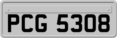 PCG5308