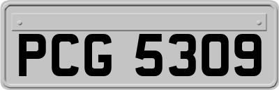 PCG5309