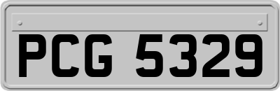 PCG5329