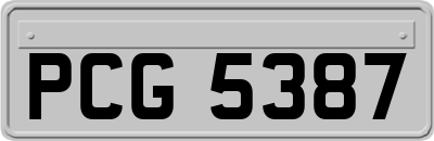 PCG5387