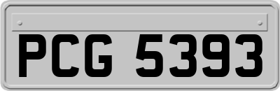 PCG5393