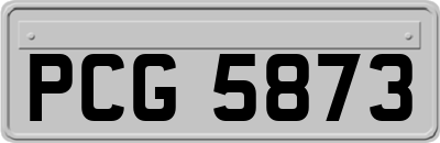 PCG5873