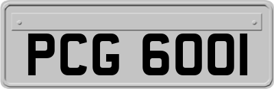PCG6001