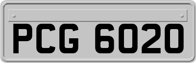PCG6020