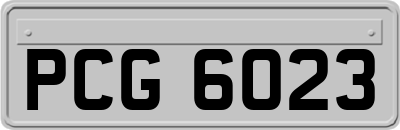 PCG6023