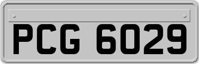 PCG6029