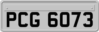 PCG6073