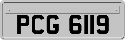 PCG6119