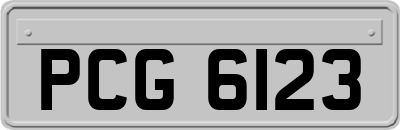 PCG6123