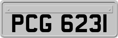 PCG6231