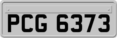 PCG6373