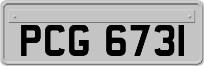 PCG6731