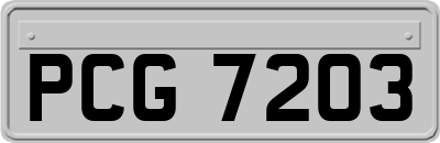 PCG7203