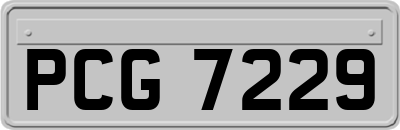 PCG7229