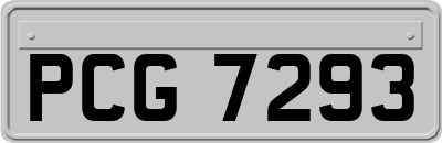 PCG7293