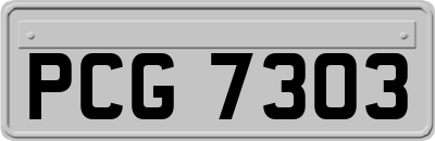 PCG7303