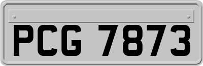 PCG7873