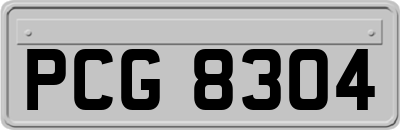 PCG8304