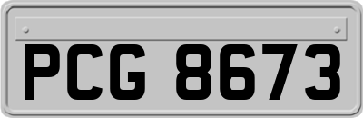 PCG8673