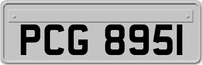 PCG8951