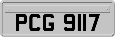 PCG9117