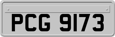 PCG9173