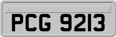 PCG9213