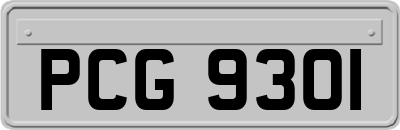 PCG9301