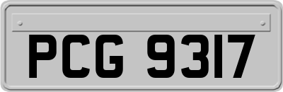 PCG9317