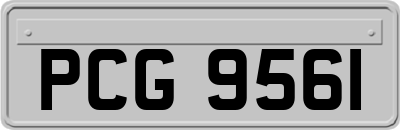 PCG9561
