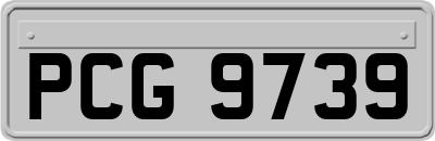 PCG9739
