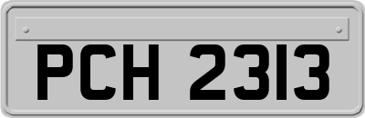 PCH2313