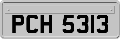 PCH5313