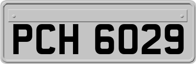 PCH6029