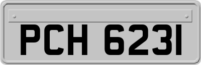 PCH6231