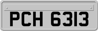 PCH6313