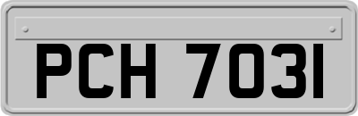 PCH7031