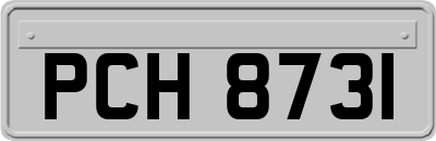 PCH8731